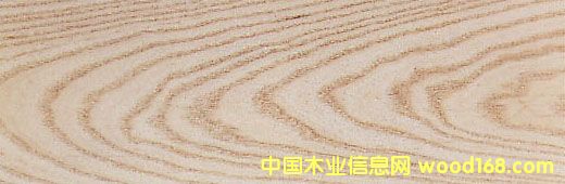 (gu)ˮ White AshԔ(x)B