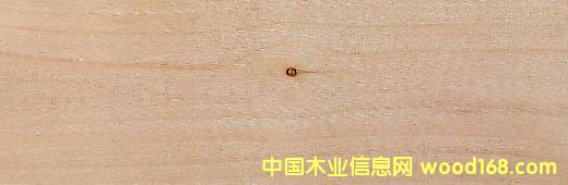 P(yng) Red AldԔ(x)B