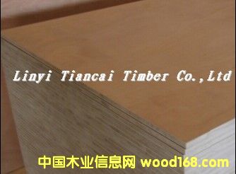 (yu)|(zh)(x)ľԔ(x)B