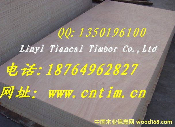 WľؐɼȸN׵ęϵ