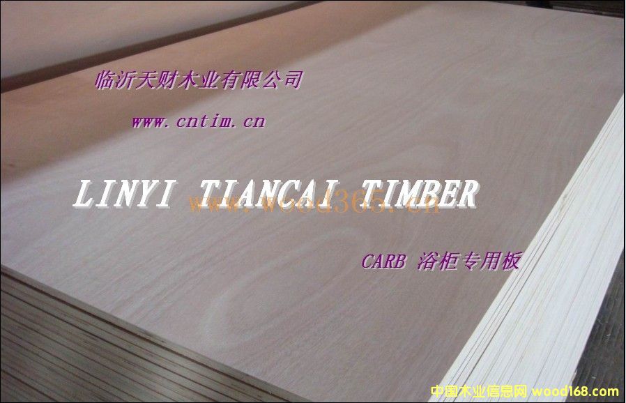 ͼȩ|(zh)CARBzϰԔ(x)B