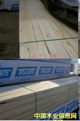 (yng)SPFɣtѩɣFɼɣȵȵԔ(x)B