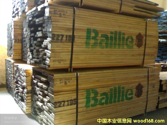 白橡木的詳細(xì)介紹