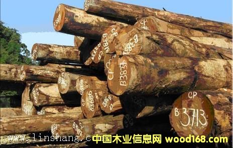 ľ_T(mn)󏽣Ԕ(x)B