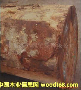 Sͩԭľ ľ  TRBU / EN