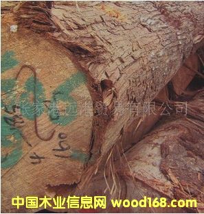 (yng)ľ ľ ľԭľRAMN / GO / GON