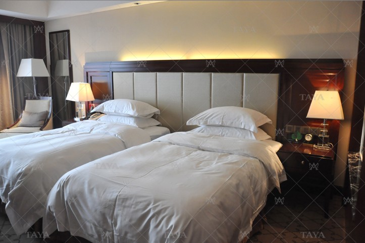 TAYAžƵҾ ͷ׼Ҿ1677