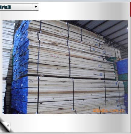 Yellow Poplar(SחZľԔ(x)B