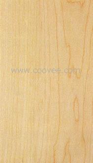 Hard Maple(ӲǗľԔ(x)B