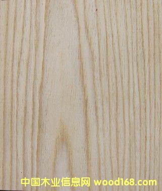 ľɽyľƤƼľɽyľƤԔ(x)B