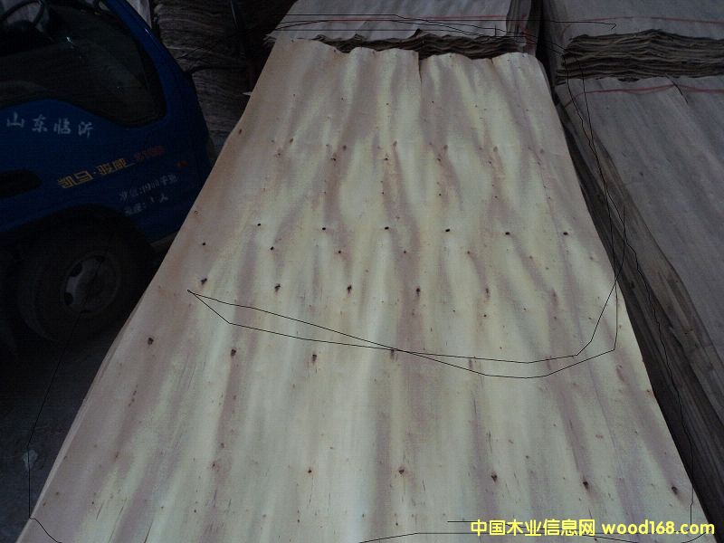 [] 2013ľо/Lа/a(chn)S*r*