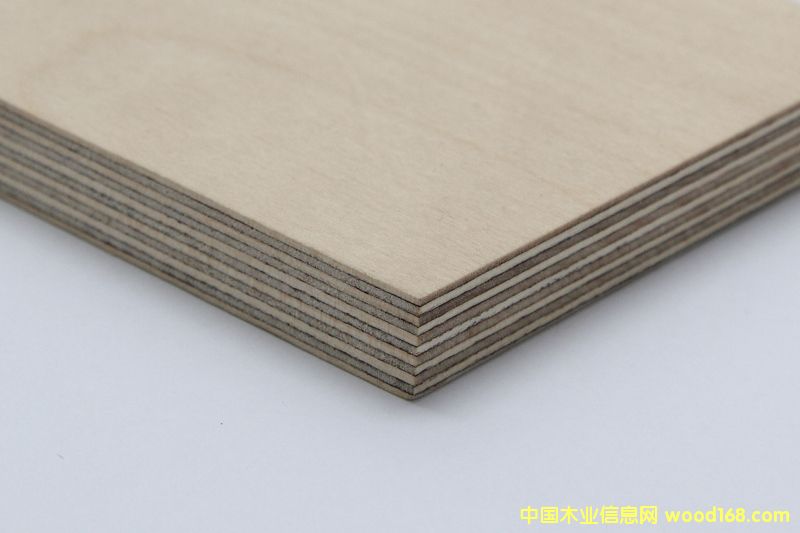 M(jn)ڶ_˹ȫľzϰ Ԕ(x)B