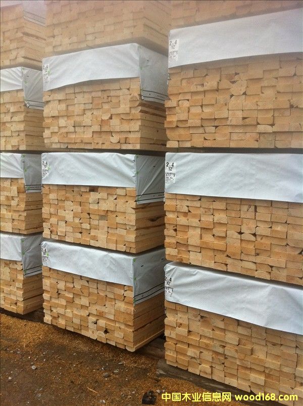 (yng)ô(yu)|(zh)SPFȰ