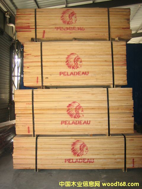 硬楓的詳細(xì)介紹