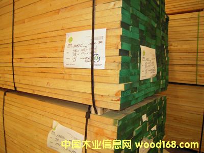 輻射松的詳細(xì)介紹