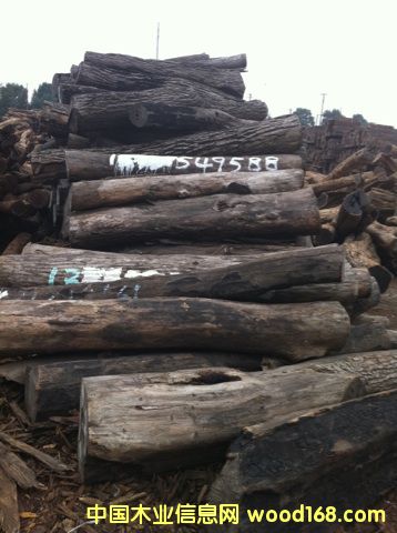 (yu)|(zh)tľԭľС~t̴ԔB