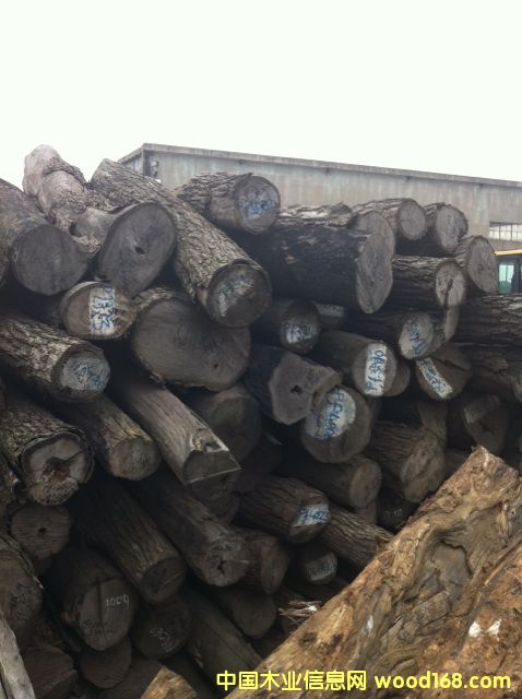 (yu)|(zh)tľԭľС~t̴ԔB