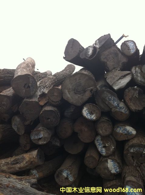 (yu)|(zh)tľԭľС~t̴ԔB