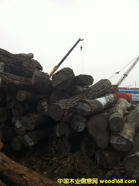 (yu)|(zh)tľԭľС~t̴ԔB