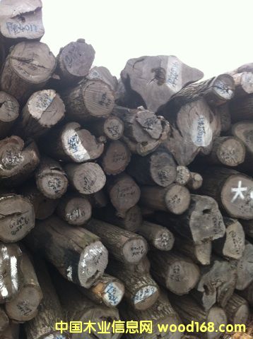 (yu)|(zh)tľԭľС~t̴ԔB