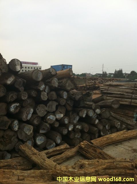 (yu)|(zh)tľԭľС~t̴ԔB