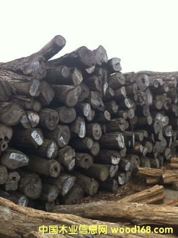 (yu)|(zh)tľС~t̴ԔB