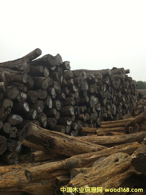 (yu)|(zh)tľԭľС~t̴ԔB