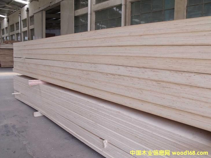 ɽ|_(d)ľI(y)޹˾ձF4Ǽ(j)ľLVLΰӷeĵԔ(x)B