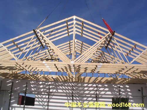 ݽÃ(yu)|(zh)ȫľlvl-ɽ|_(d)ľI(y)޹˾(yng)