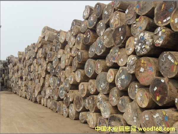 T񣨿˹ԭľ r(ji)Ԕ(x)B