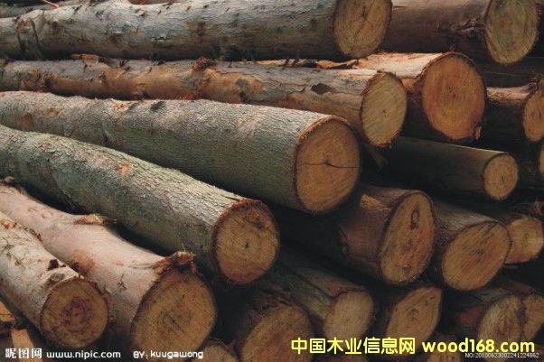 雜木的詳細(xì)介紹