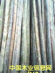 竹片的詳細(xì)介紹