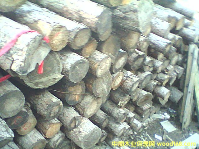 木桿的詳細(xì)介紹