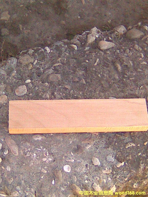 櫸木板的詳細(xì)介紹