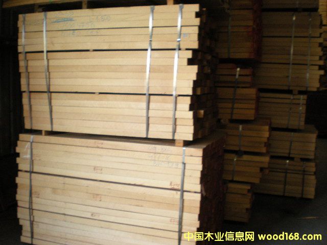 櫸木的詳細介紹