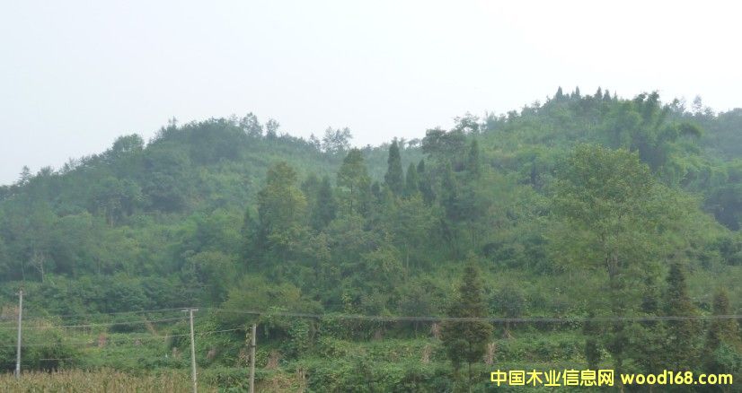 Ĵʡɶ߅3000஀òֵD(zhun)׌Ԕ(x)B