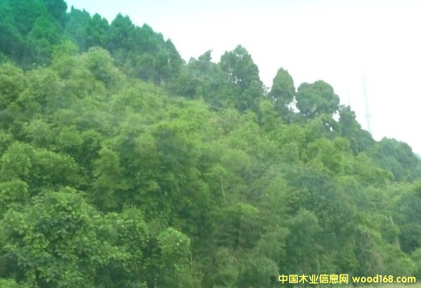 Ĵʡɶ2800஀ֵD(zhun)׌Ԕ(x)B