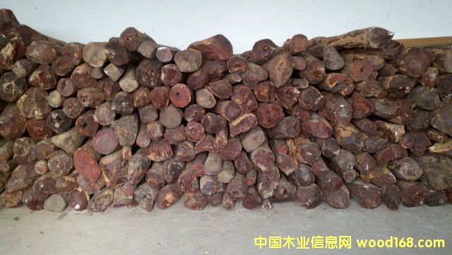 紫檀的詳細(xì)介紹