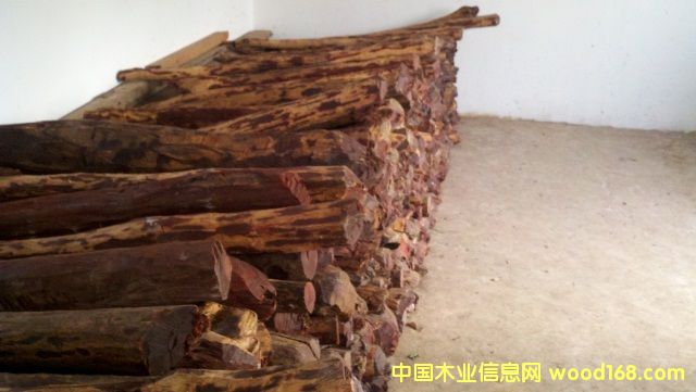 紫檀的詳細(xì)介紹