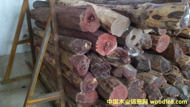 紫檀的詳細(xì)介紹