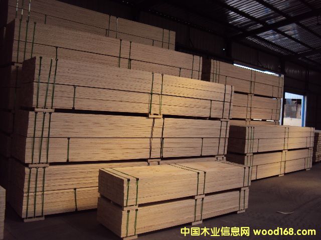 (yng)bÌӷeėľLVLԔB