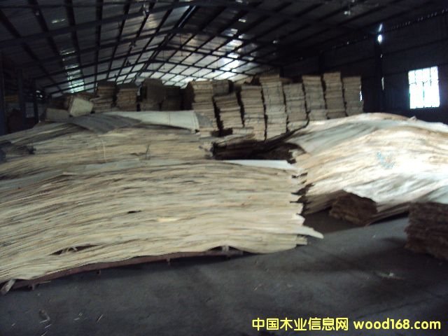 (yng)|(zh)ӷeėľLVLԔB