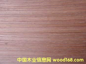 紅櫻桃的詳細(xì)介紹