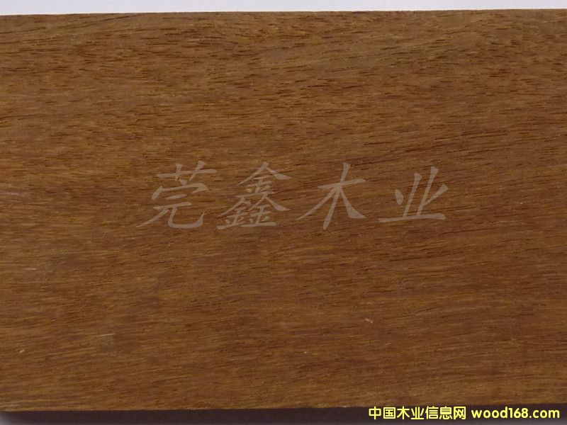 黑龍鳳檀的詳細(xì)介紹