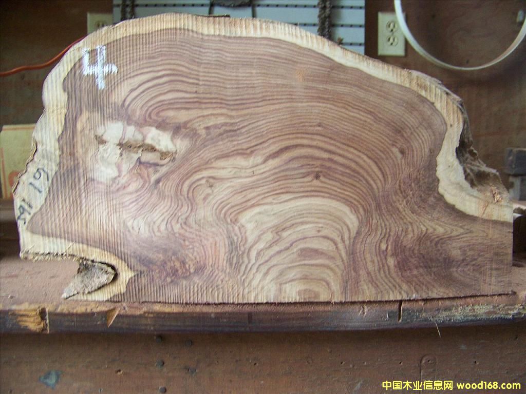 中美黃檀 的詳細(xì)介紹