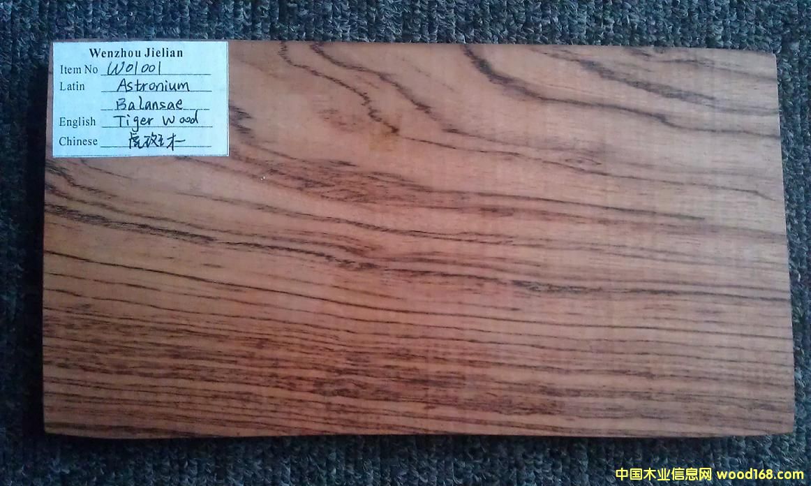 虎斑木的詳細(xì)介紹