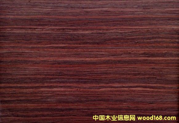 GH5100oȩቺNzԔ(x)B