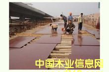 竹膠板的詳細(xì)介紹