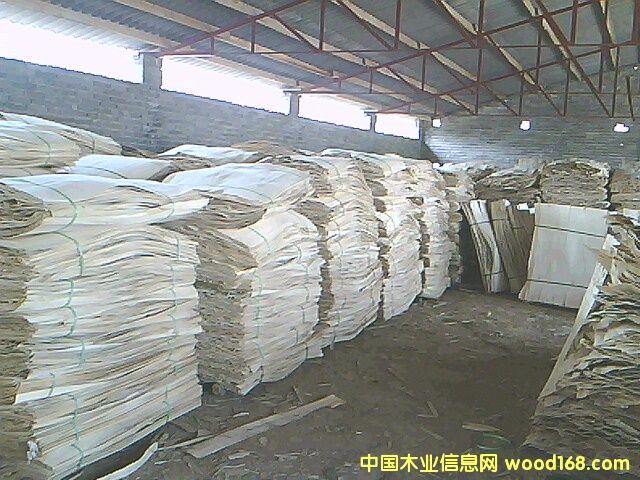 面板的詳細介紹