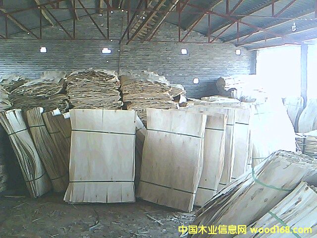 面板的詳細介紹